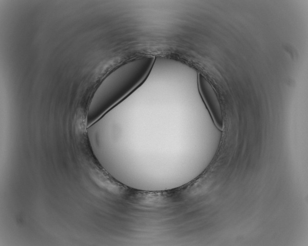 X0000110960384200906191055