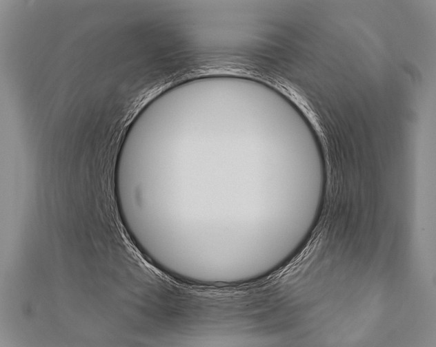 X0000110960385200906191054
