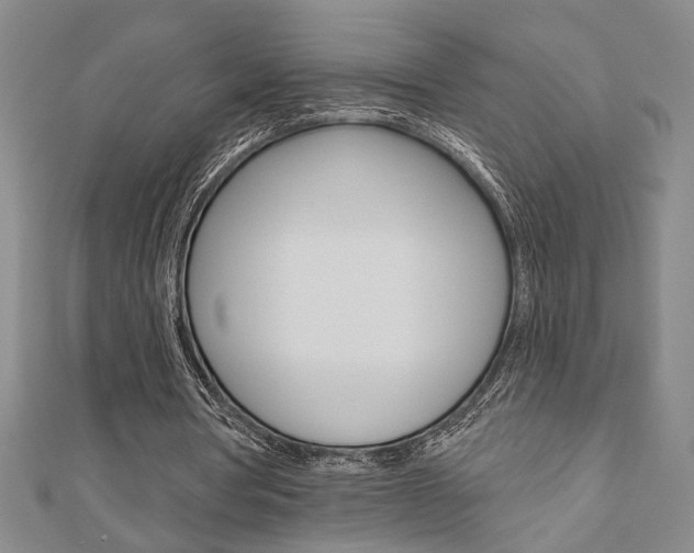 X0000110960386200906191054