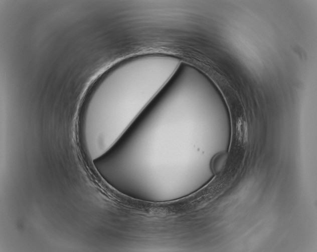X0000110960388200906191054