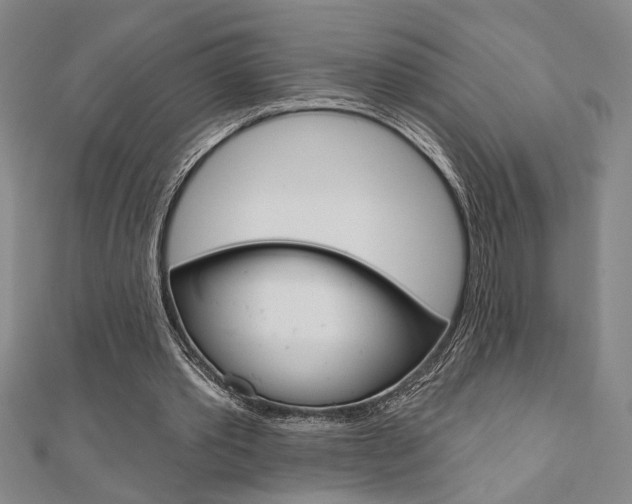 X0000110960389200906191054