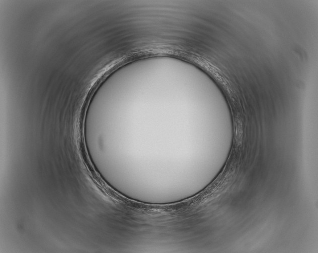 X0000110960390200906191054