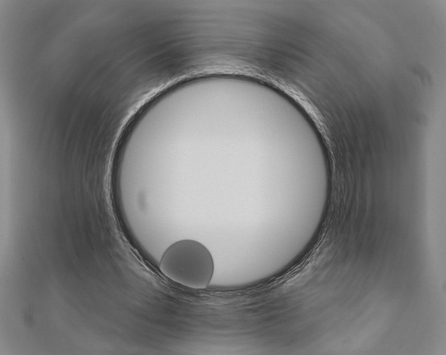 X0000110960391200906191054