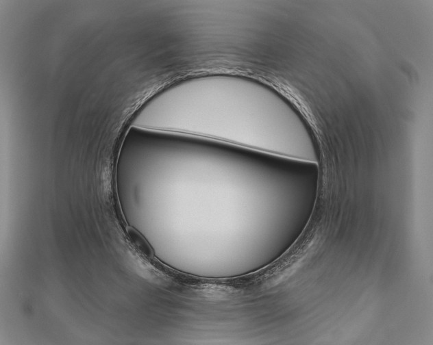 X0000110960393200906191054