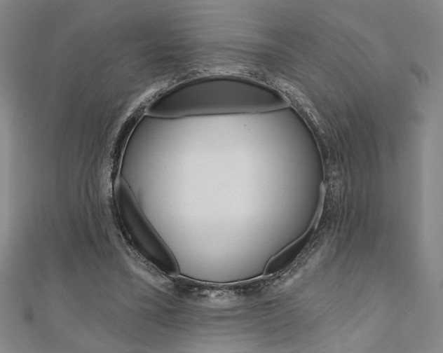 X0000110960395200906191054