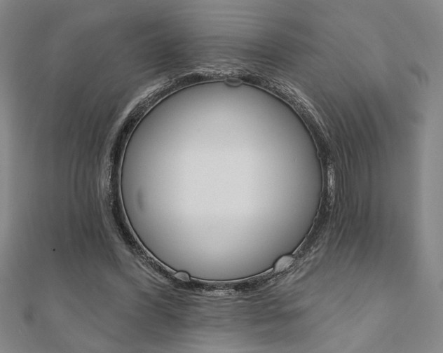 X0000110960396200906191054