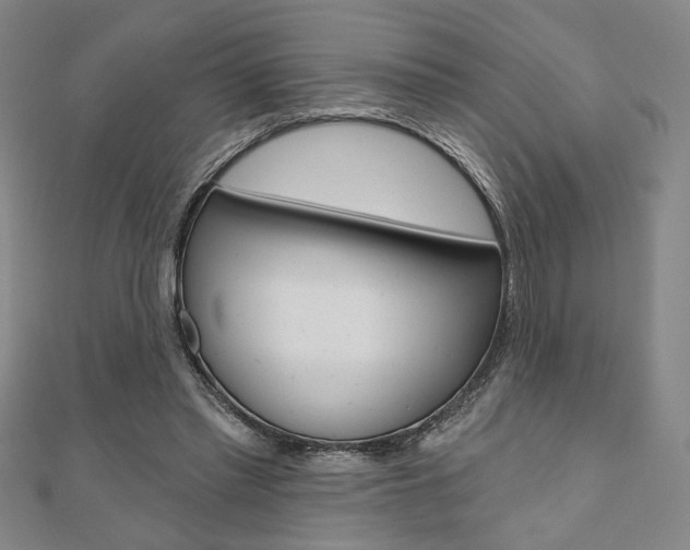 X0000110960397200906191054