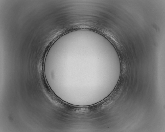 X0000110960398200906191054