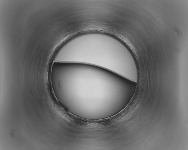 X0000110960399200906191054