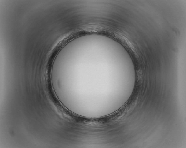 X0000110960400200906191054