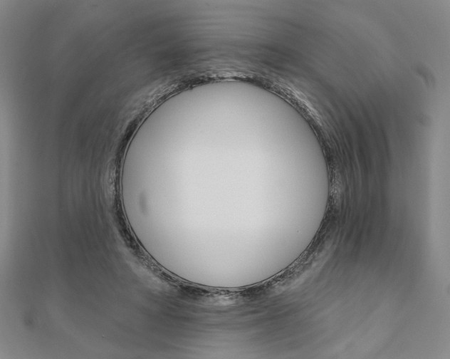 X0000110960402200906191054