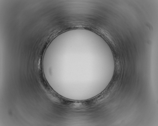 X0000110960406200906191054