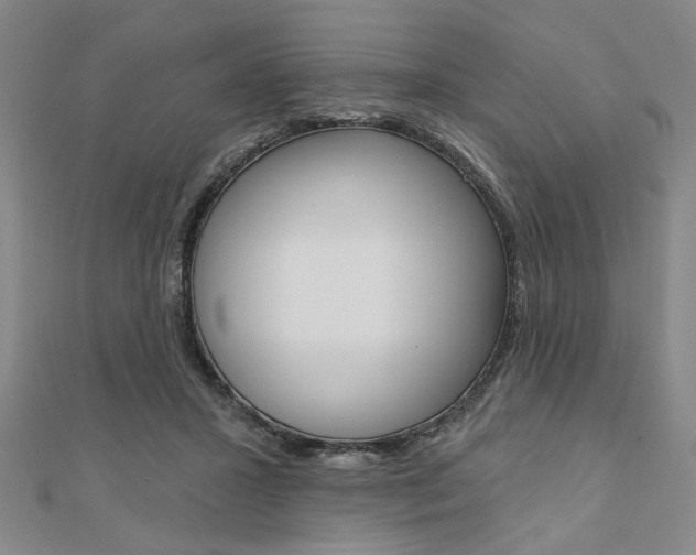 X0000110960407200906191054