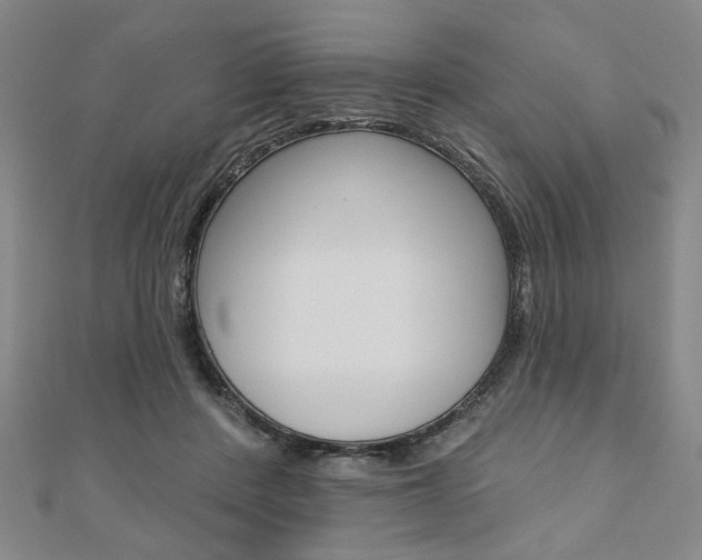 X0000110960408200906191054