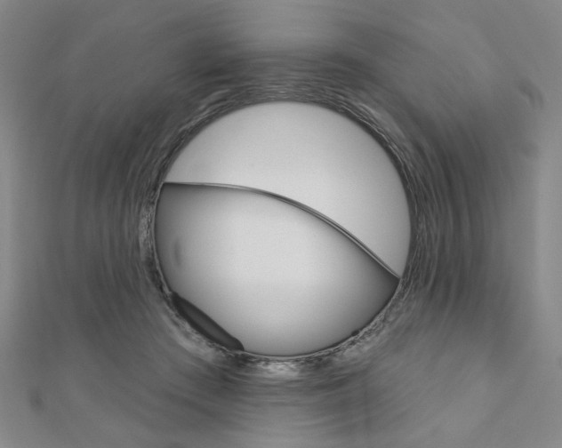 X0000110960409200906191054