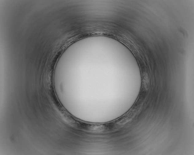 X0000110960410200906191054