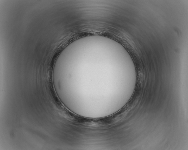 X0000110960412200906191054