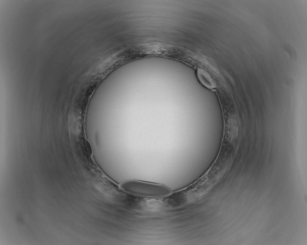 X0000110960413200906191054