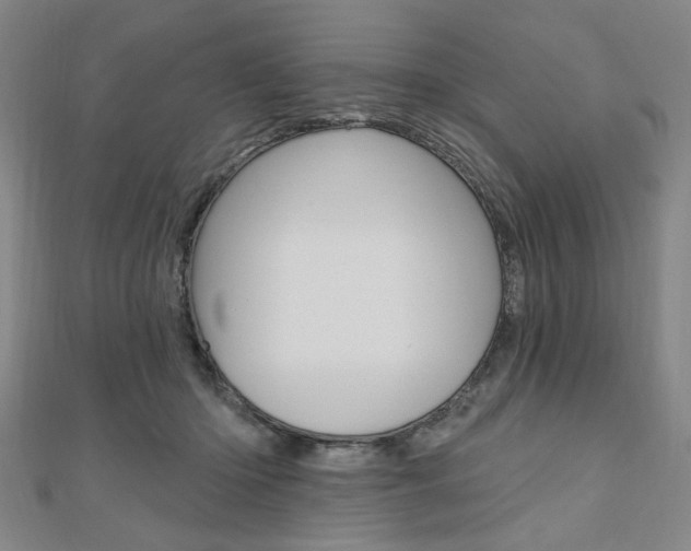 X0000110960414200906191054