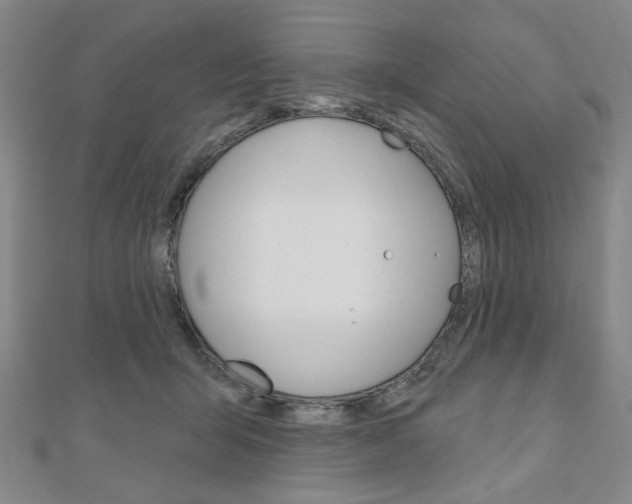 X0000110960415200906191054