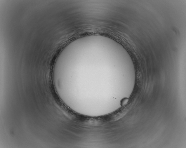 X0000110960416200906191054