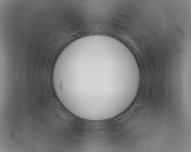X0000110960417200906191054