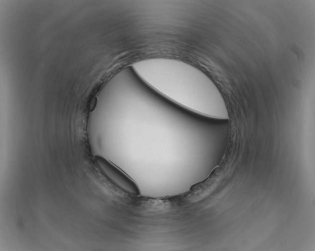 X0000110960421200906191054