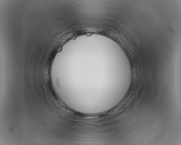 X0000110960422200906191054
