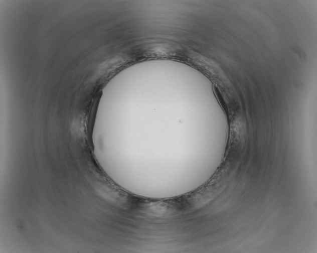 X0000110960423200906191054