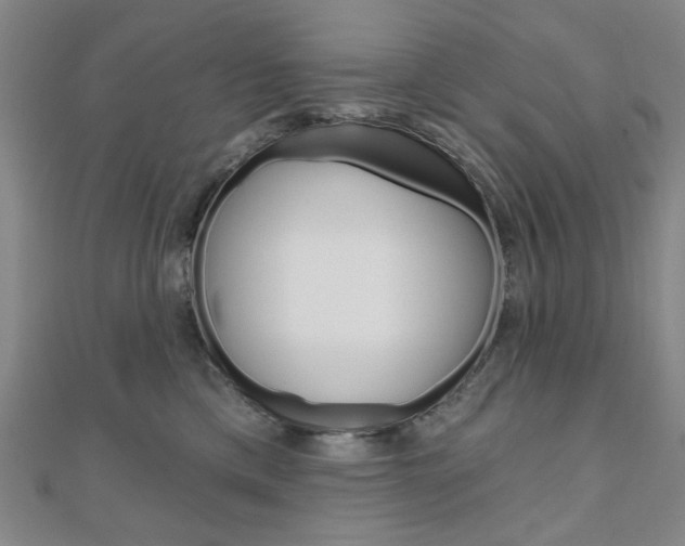 X0000110960425200906191054