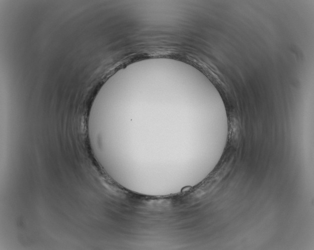 X0000110960426200906191053