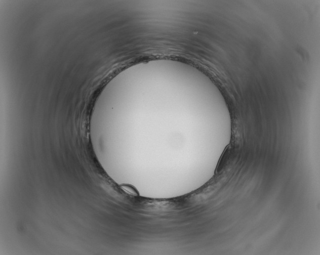 X0000110960428200906191053