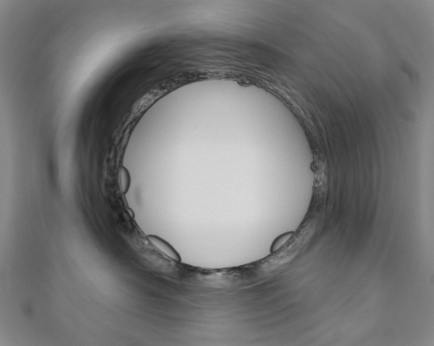 X0000110960430200906191053