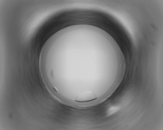 X0000110960431200906191053