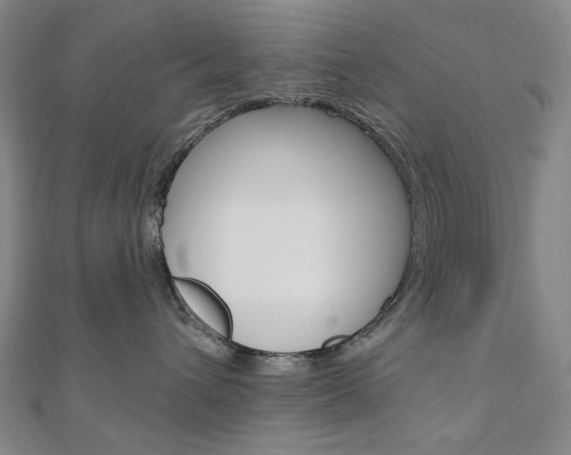 X0000110960432200906191053