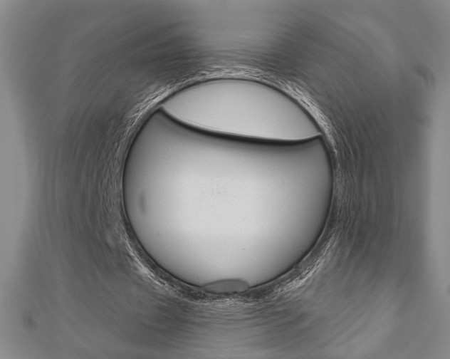 X0000110960433200906191053