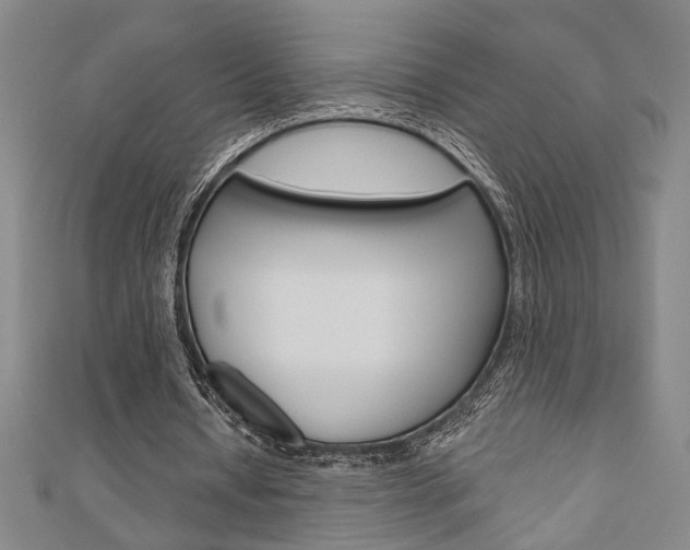X0000110960434200906191053
