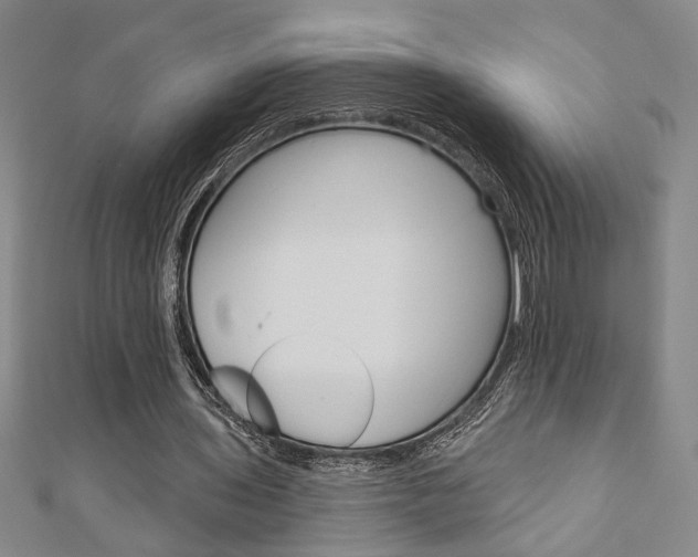 X0000110960435200906191053