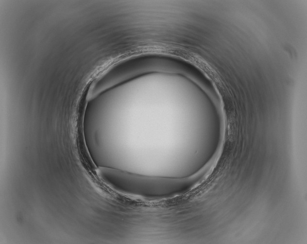 X0000110960436200906191053