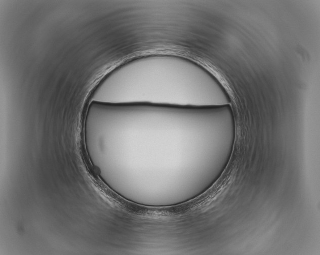 X0000110960437200906191053