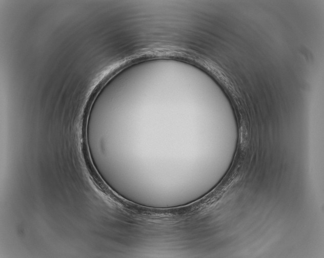 X0000110960438200906191053