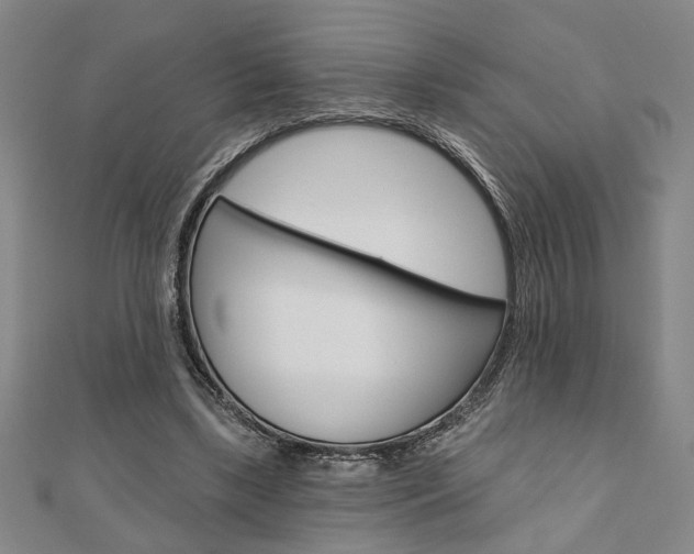 X0000110960443200906191053