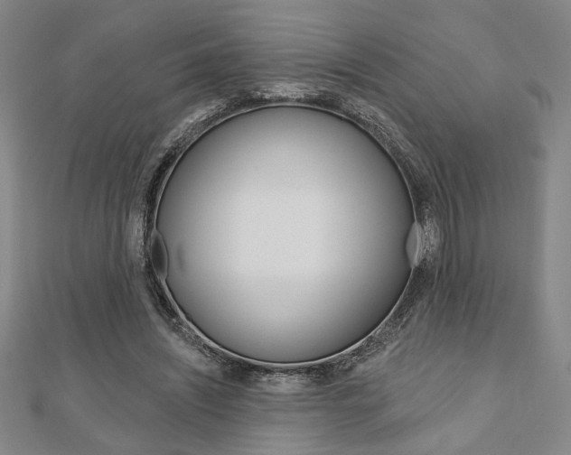 X0000110960444200906191053