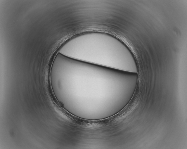 X0000110960445200906191053