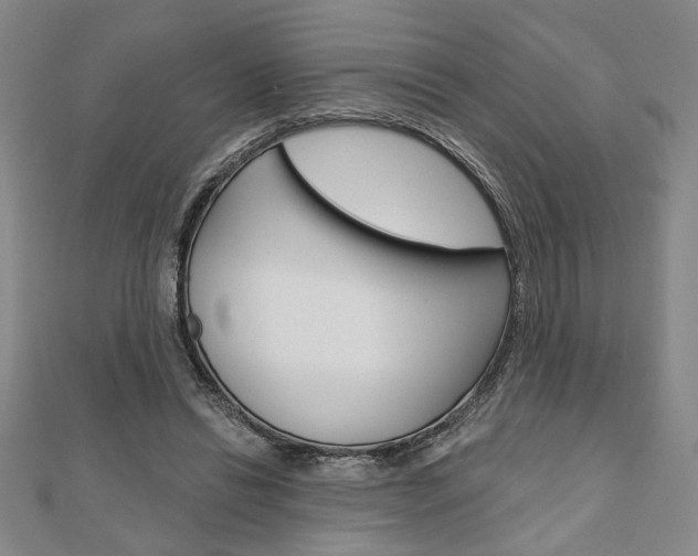 X0000110960446200906191053