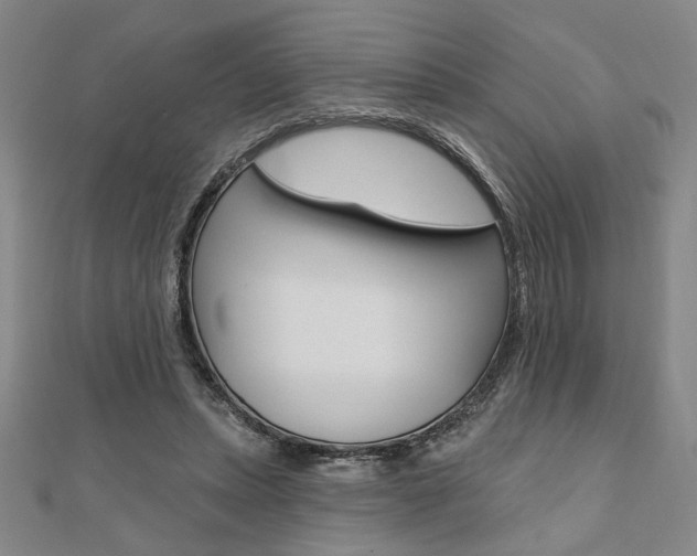 X0000110960447200906191053