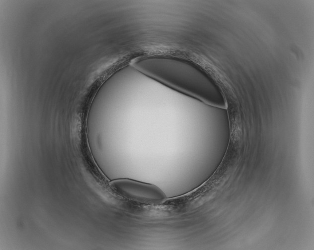 X0000110960448200906191053