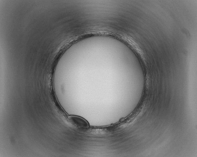 X0000110960449200906191053