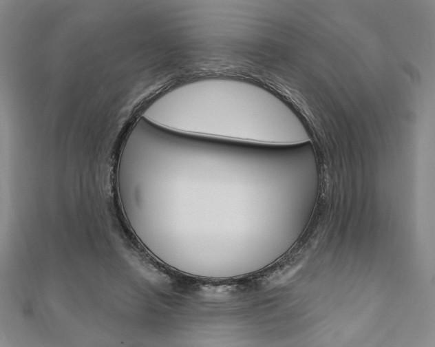 X0000110960450200906191053