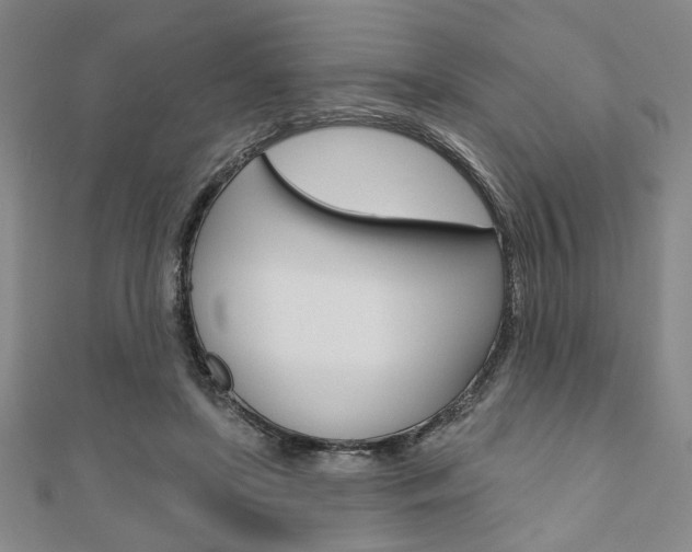X0000110960451200906191053